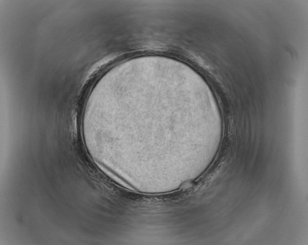 X0000112981214200909241213