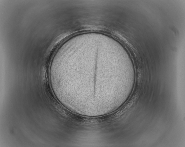 X0000112981215200909241213