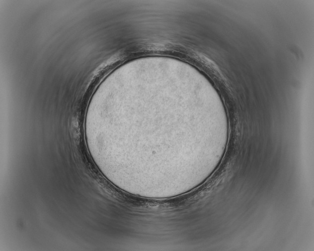 X0000112981218200909241213