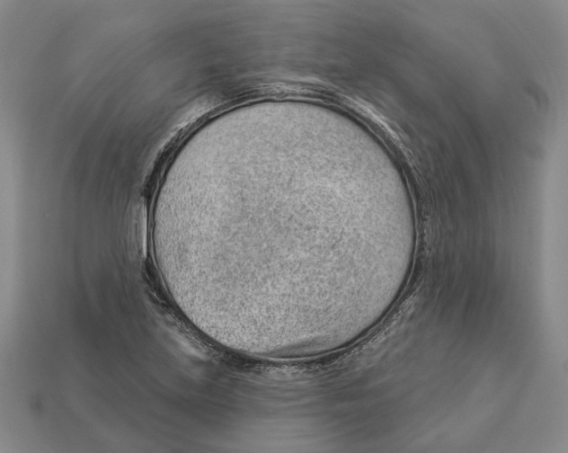 X0000112981219200909241213