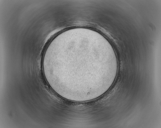 X0000112981222200909241213