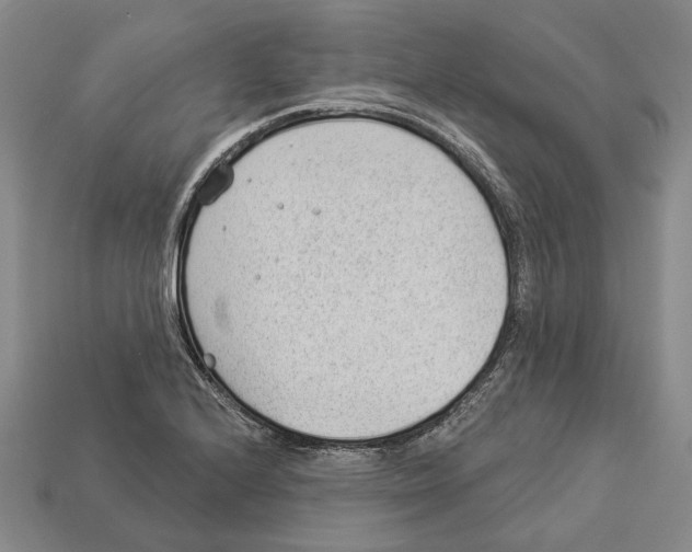 X0000112981224200909241213