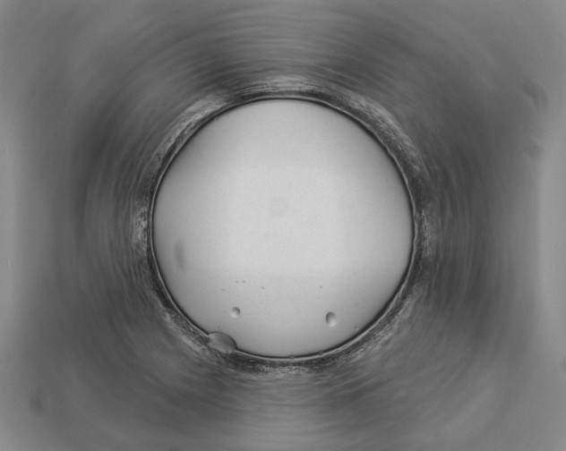 X0000112981225200909241213