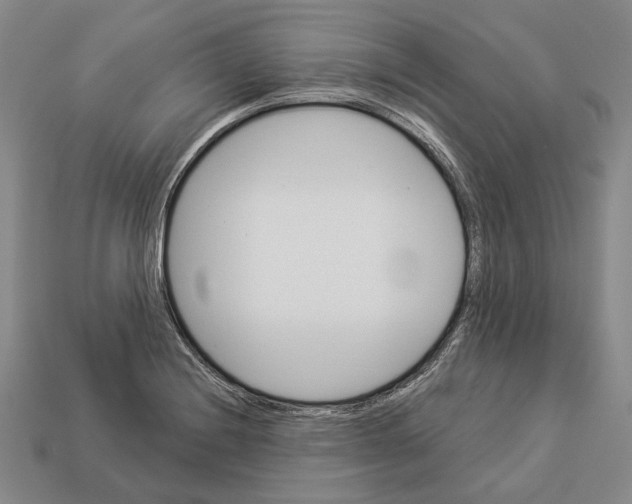 X0000112981228200909241213
