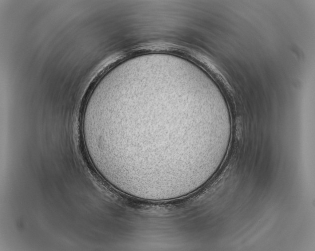 X0000112981229200909241213