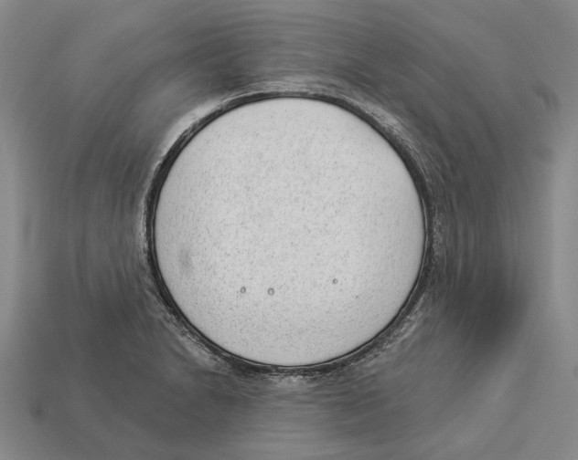 X0000112981230200909241213