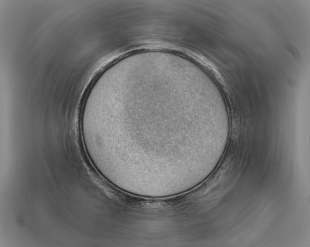 X0000112981231200909241213