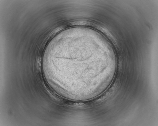 X0000112981233200909241213