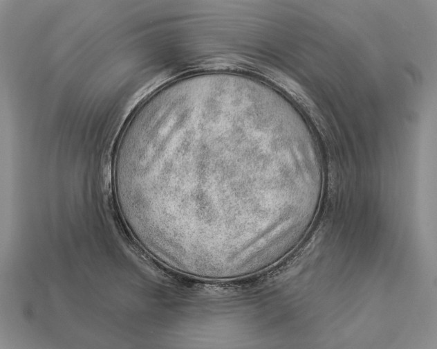 X0000112981234200909241213