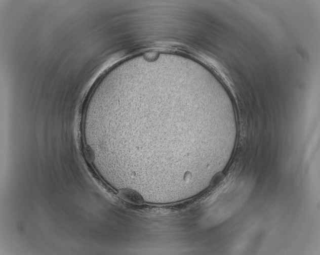 X0000112981235200909241213