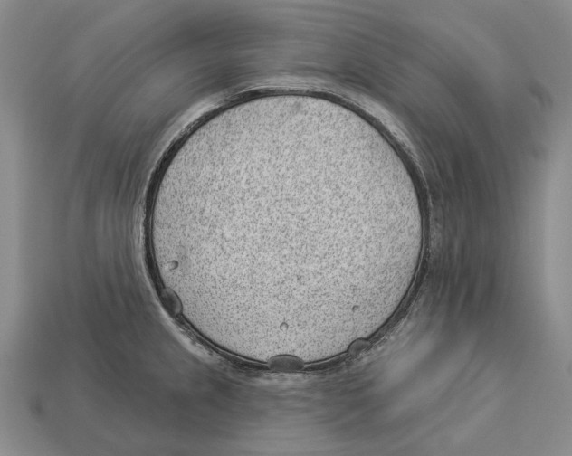 X0000112981237200909241214