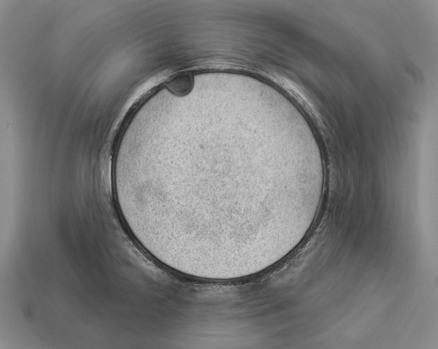 X0000112981238200909241214