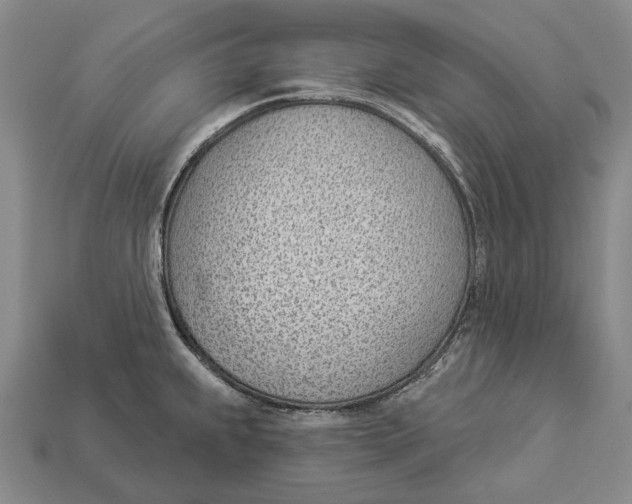 X0000112981239200909241214