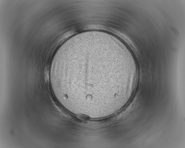 X0000112981241200909241214