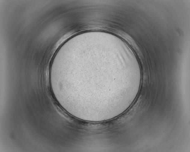 X0000112981242200909241214