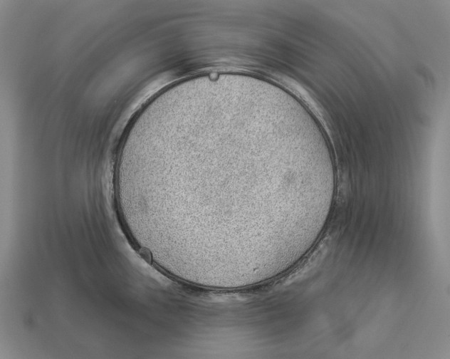 X0000112981243200909241214