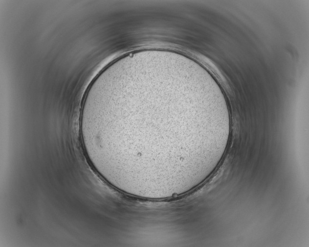 X0000112981244200909241214