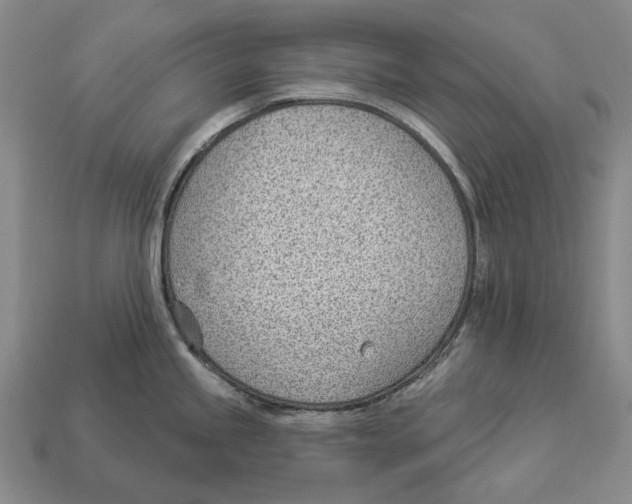 X0000112981245200909241214