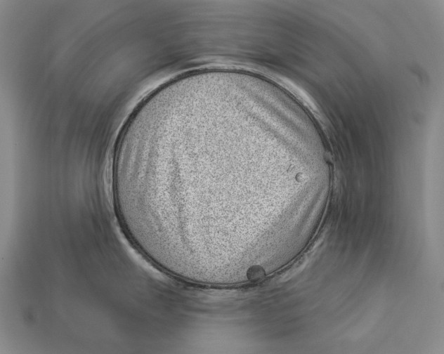 X0000112981247200909241214