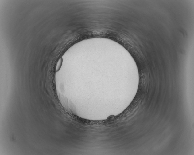 X0000112981249200909241213