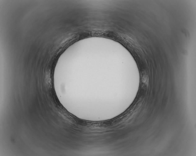 X0000112981252200909241213