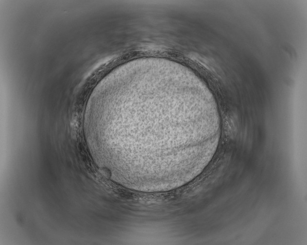 X0000112981254200909241213