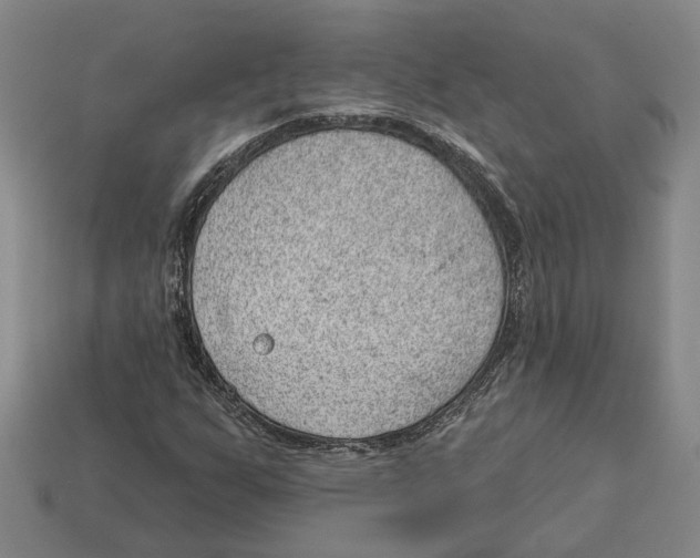 X0000112981255200909241213