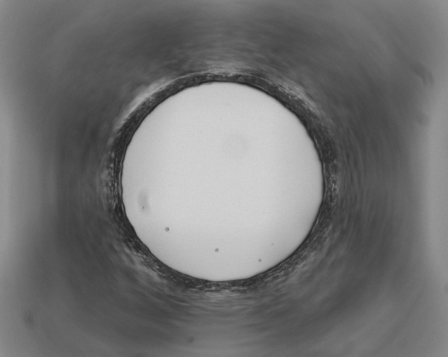 X0000112981256200909241213