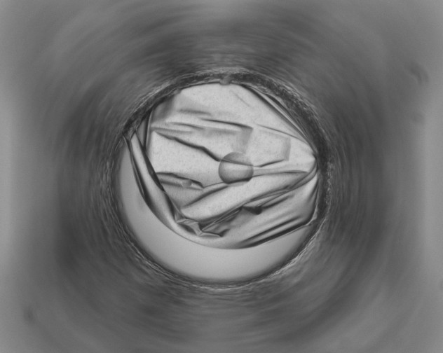 X0000112981257200909241213