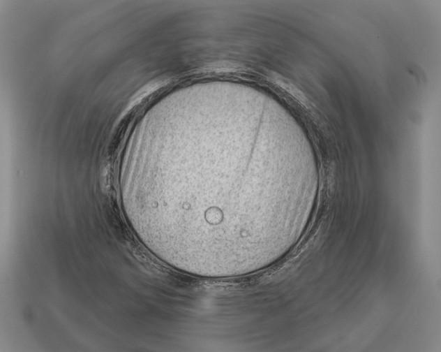 X0000112981258200909241213