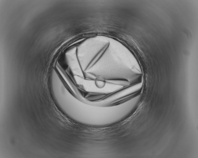 X0000112981260200909241213