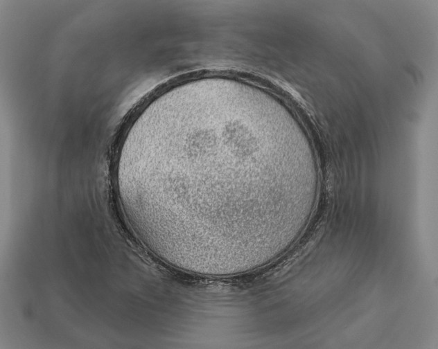X0000112981263200909241213