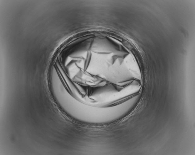 X0000112981264200909241213