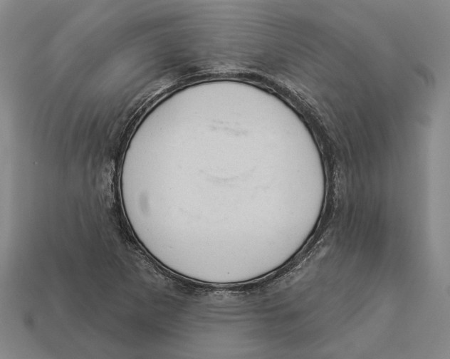 X0000112981265200909241213