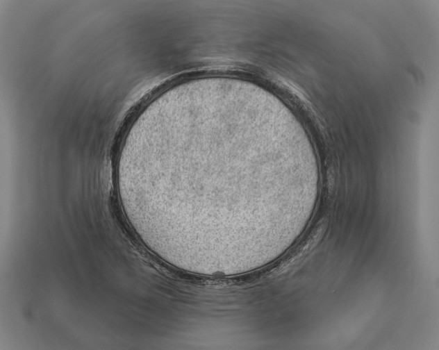 X0000112981267200909241213