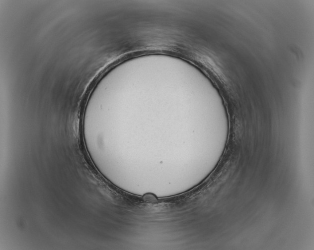 X0000112981268200909241213
