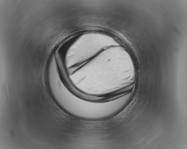 X0000112981269200909241213
