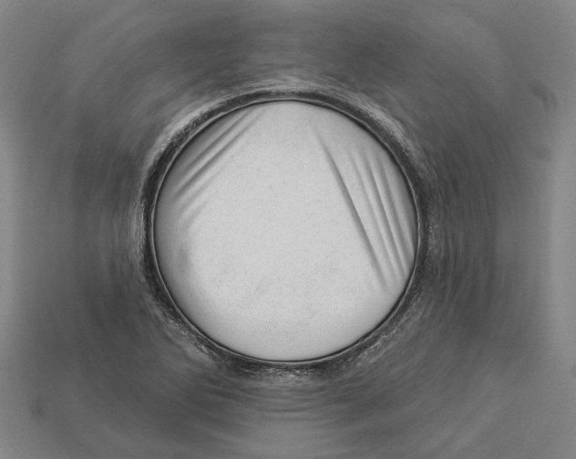 X0000112981270200909241213