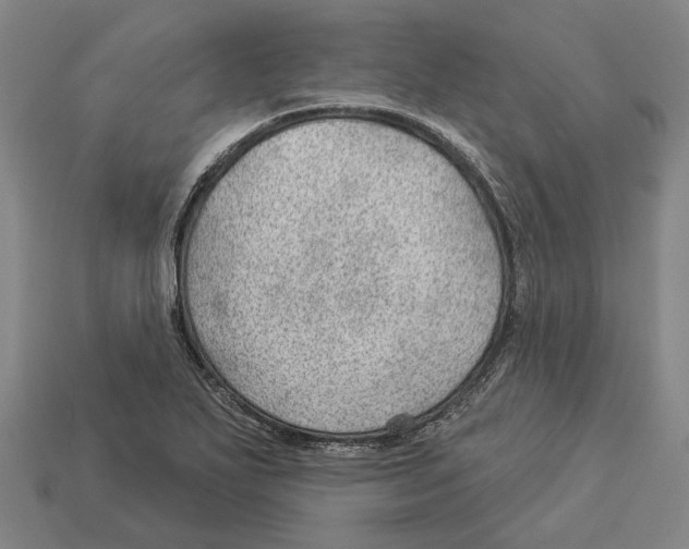 X0000112981271200909241213