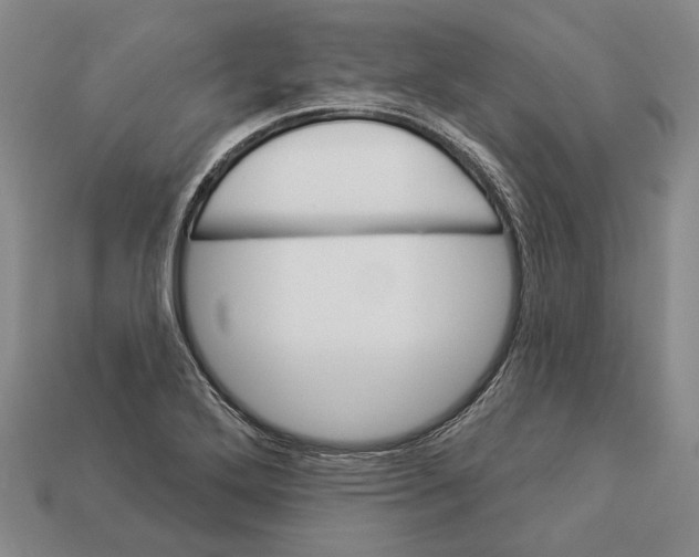 X0000112981272200909241213