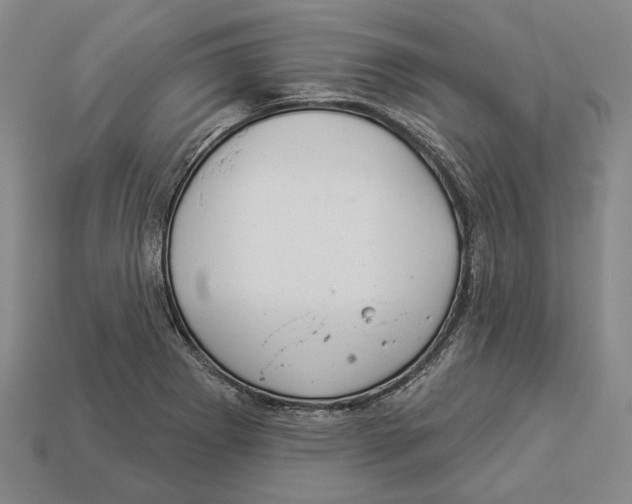 X0000112981273200909241213