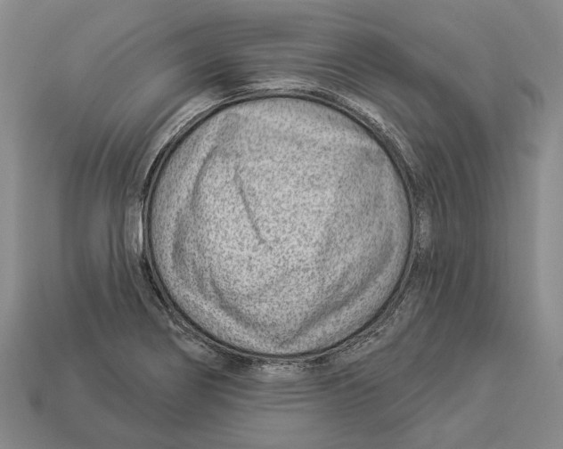 X0000112981274200909241213