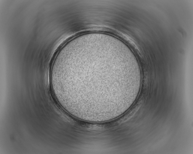 X0000112981275200909241213