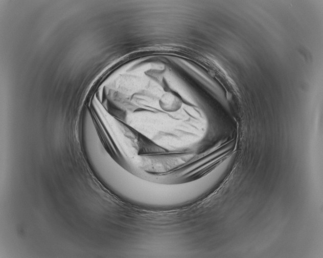 X0000112981276200909241213