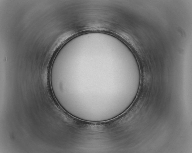 X0000112981277200909241213