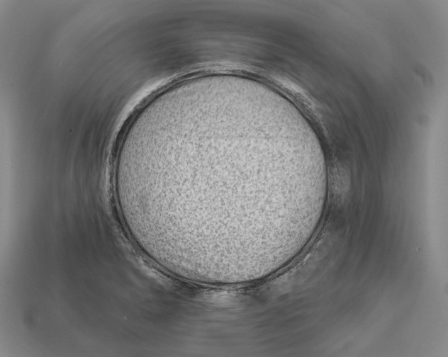 X0000112981278200909241213