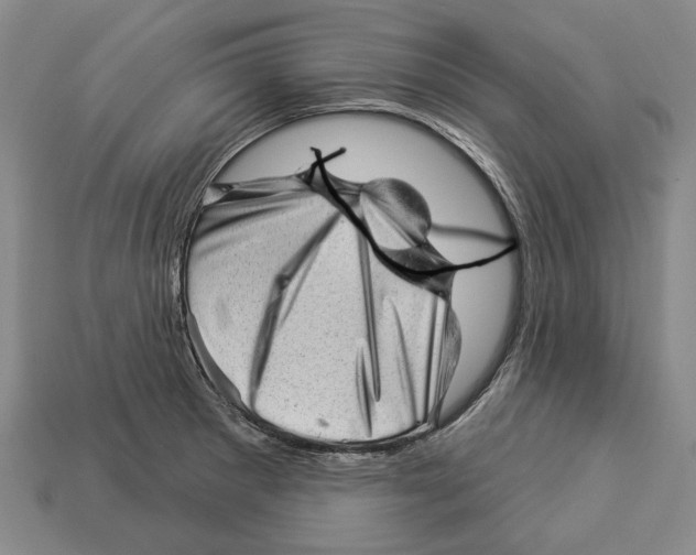 X0000112981281200909241213