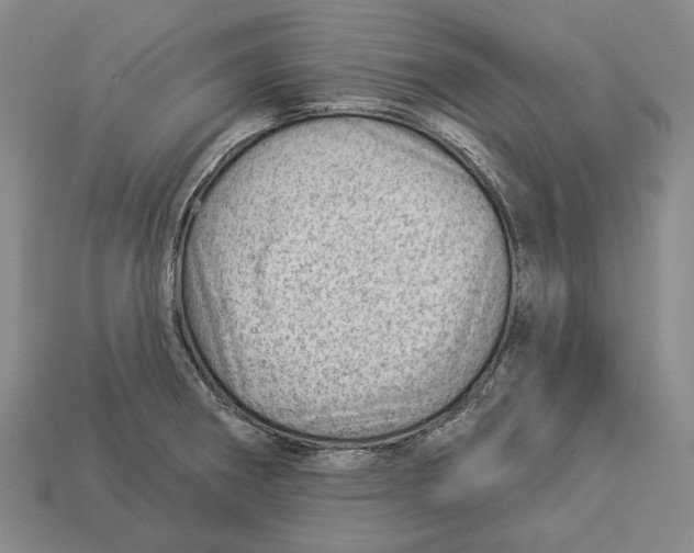 X0000112981282200909241213