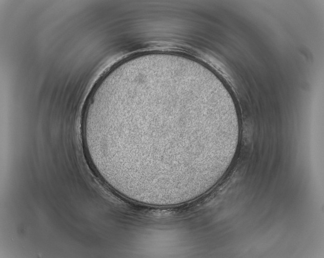X0000112981283200909241213