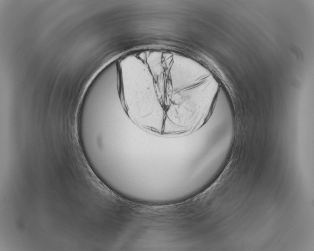X0000112981284200909241213